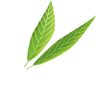 guepe